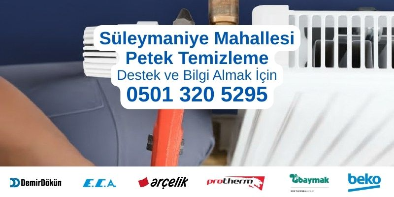 Esenyurt Süleymaniye Mahallesi petek temizleme hizmeti - Profesyonel teknisyen petek temizleme yaparken